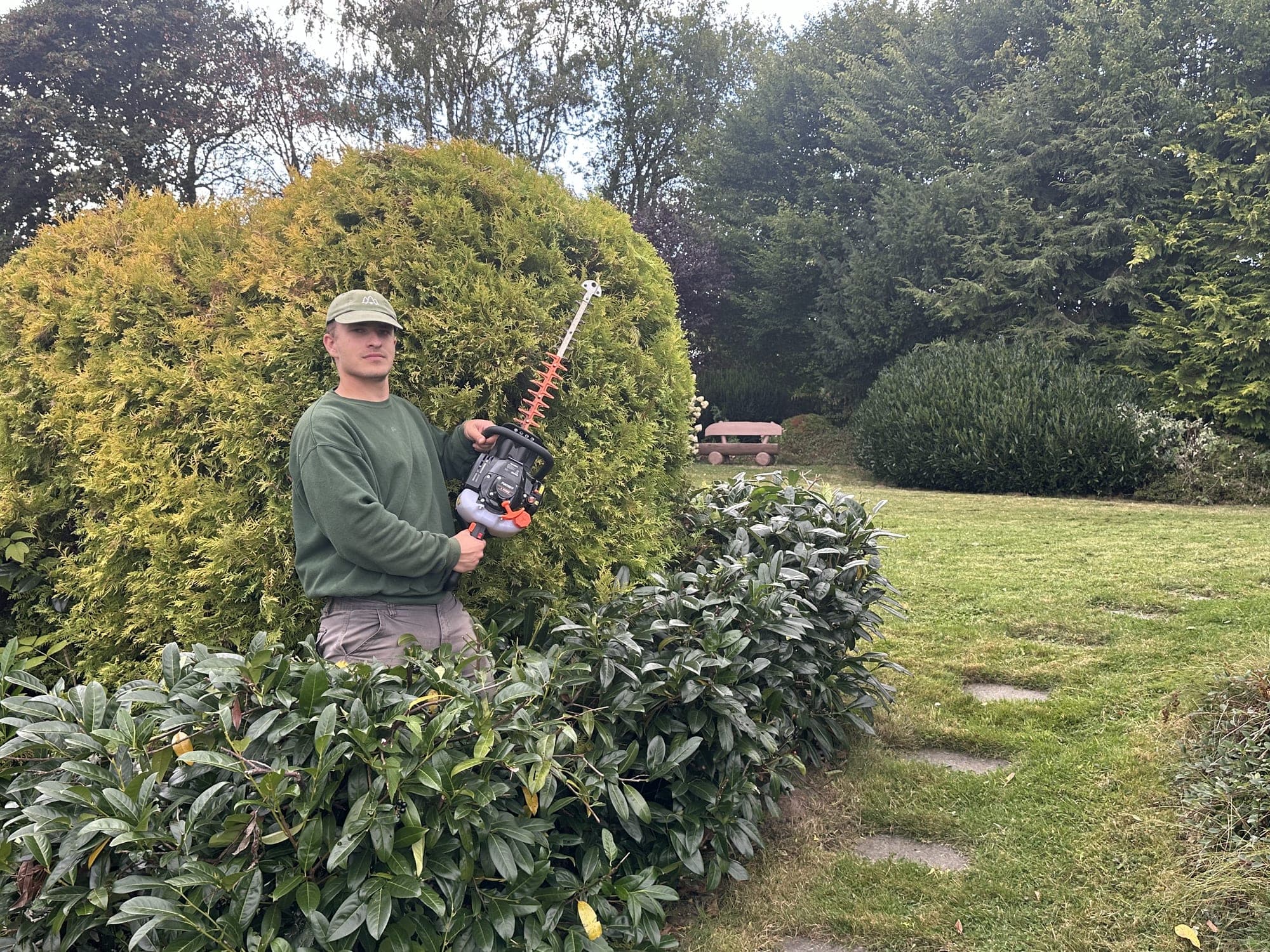 Sven Dabers mit Benzin-Heckenschere zwischen einer goldgelben Thujakugel und einer niedrigen Kirschlorbeerhecke.